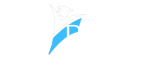 The Project Professionals